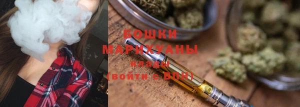 хмурый Арсеньев