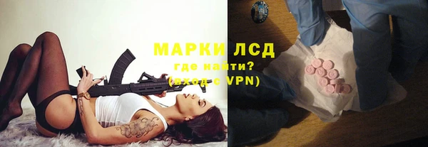 хмурый Арсеньев