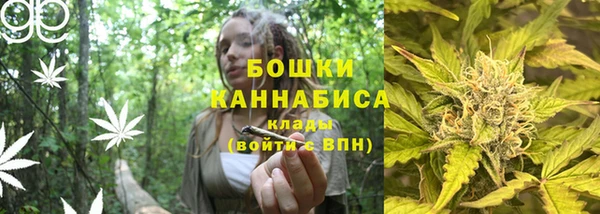 хмурый Арсеньев