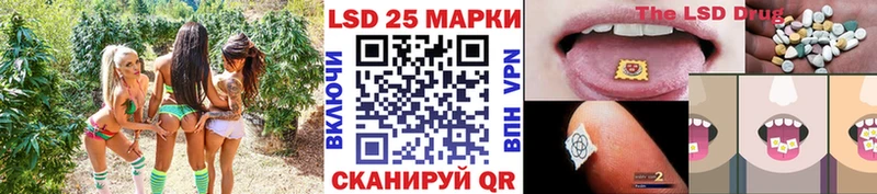 закладки  Ветлуга  Марки N-bome 1500мкг 